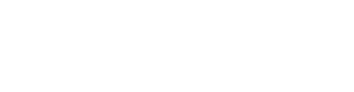 logo2 1